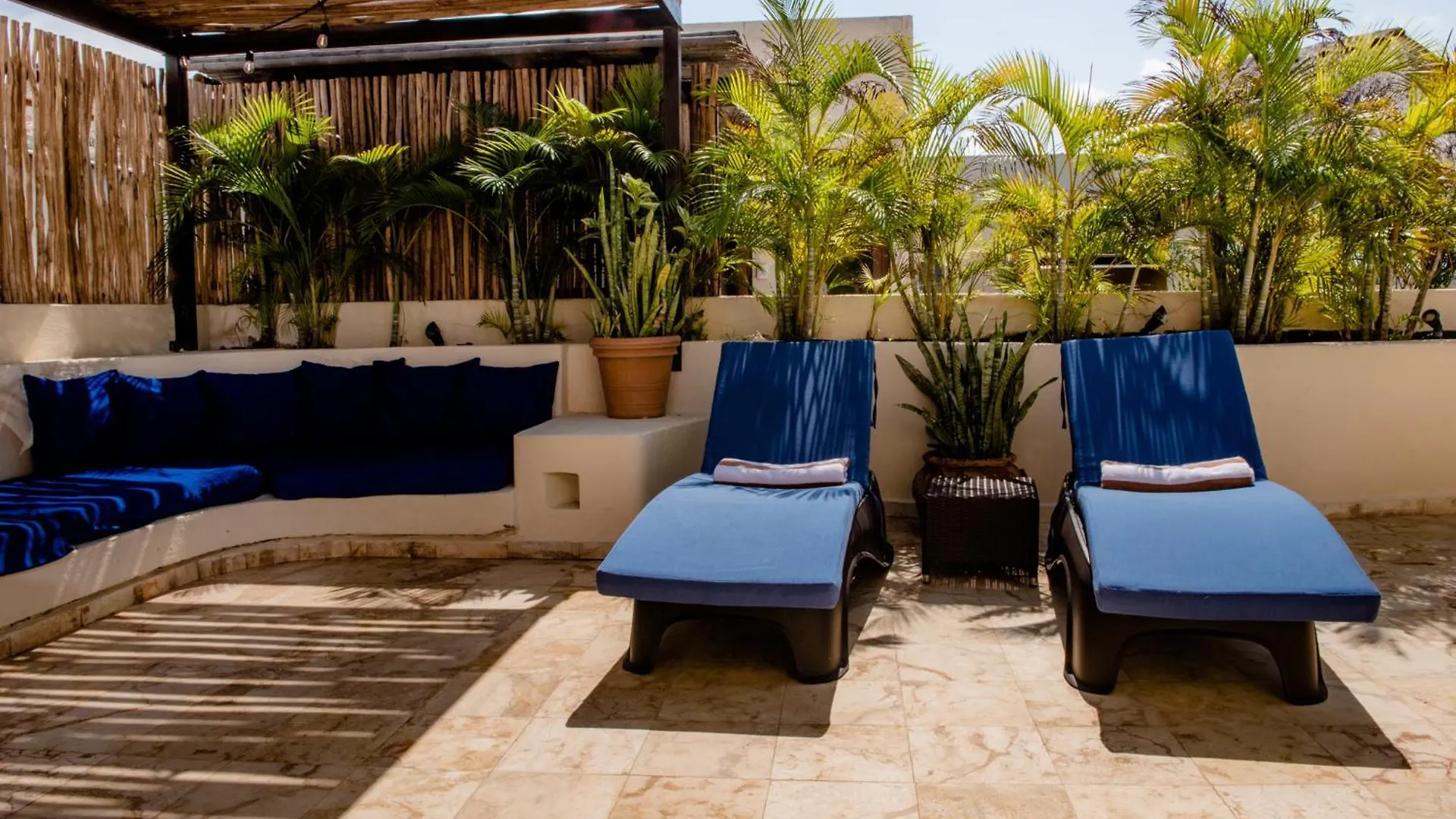 Porto Playa Condo Hotel And Beach Club Πλάγια Ντελ Κάρμεν